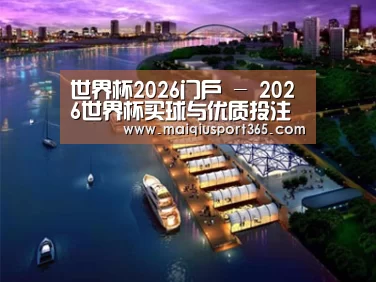 案例展示八