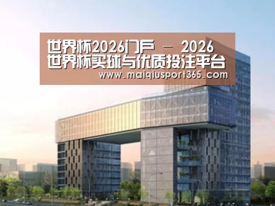 案例展示四