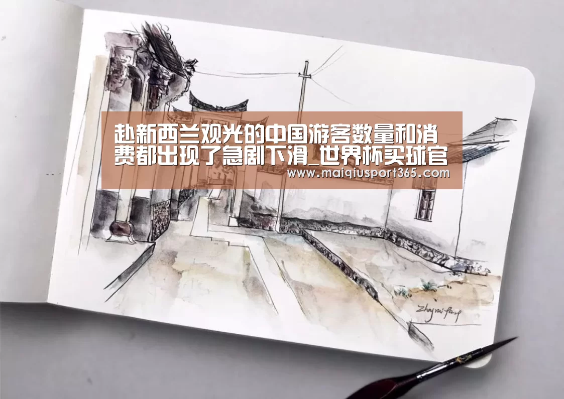 赴新西兰观光的中国游客数量和消费都出现了急剧下滑_世界杯买球官网(图2) 世界杯买球平台