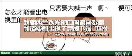 赴新西兰观光的中国游客数量和消费都出现了急剧下滑_世界杯买球官网(图1) 世界杯买球网站