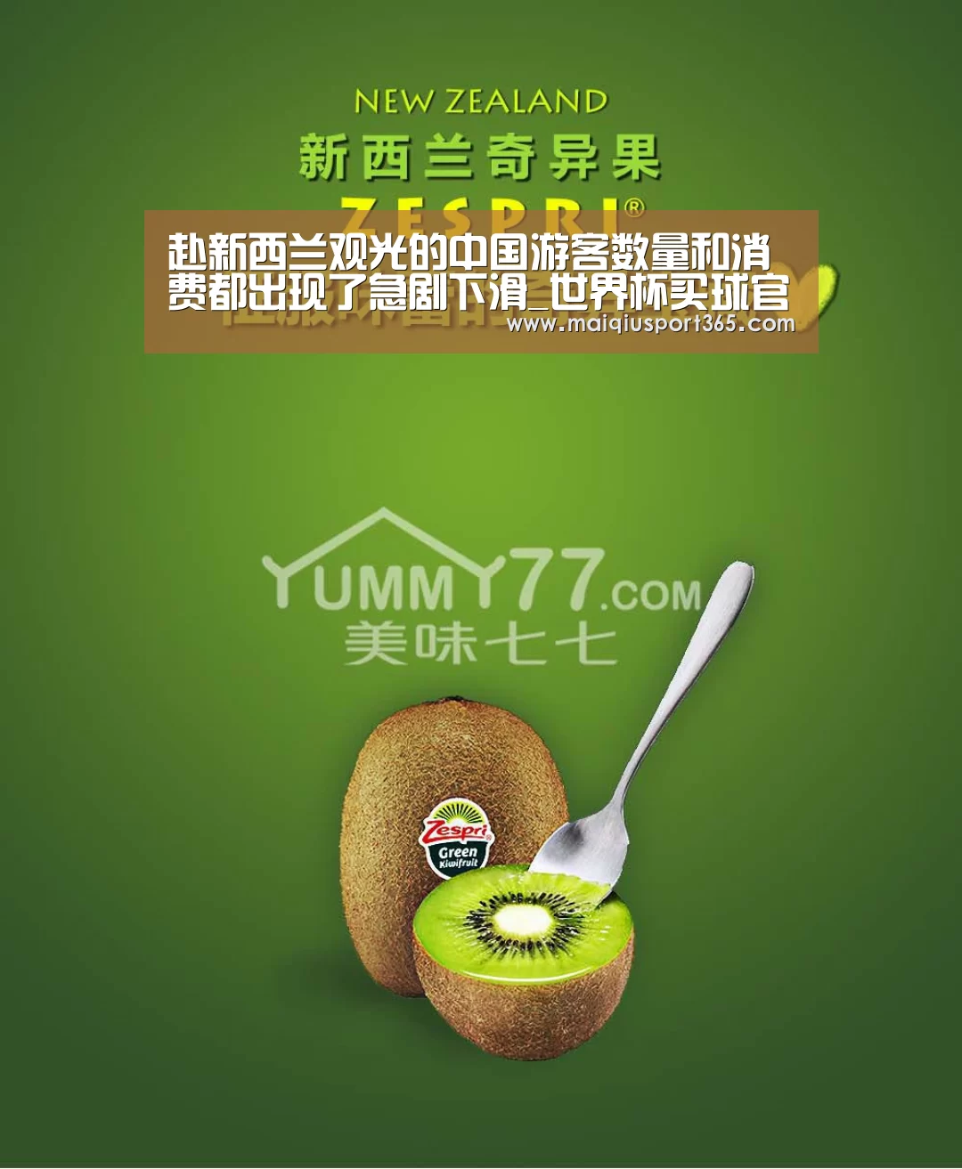 赴新西兰观光的中国游客数量和消费都出现了急剧下滑_世界杯买球官网(图4) 世界杯买球